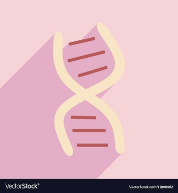 Flat with shadow icon and mobile application genes vector image