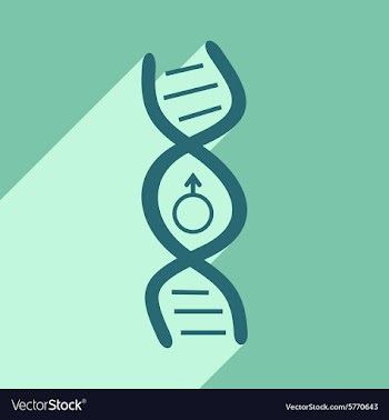 Flat with shadow icon and mobile application genes vector image