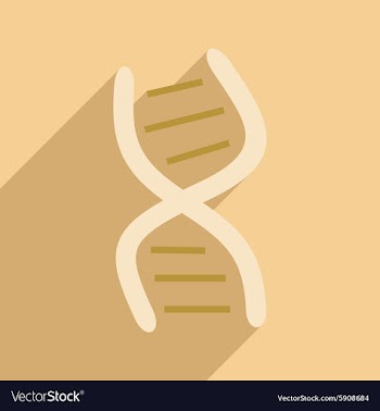 Flat with shadow icon and mobile application genes vector image