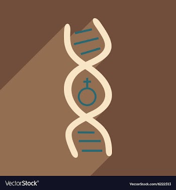 Flat with shadow icon and mobile application genes vector image