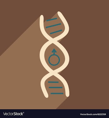 Flat with shadow icon and mobile application genes vector image