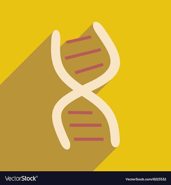 Flat with shadow icon and mobile application genes vector image