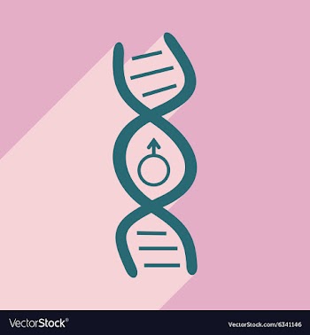 Flat with shadow icon and mobile application genes vector image