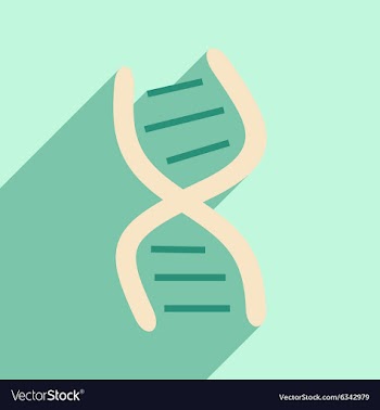Flat with shadow icon and mobile application genes vector image
