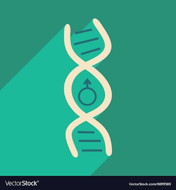 Flat with shadow icon and mobile application genes vector image