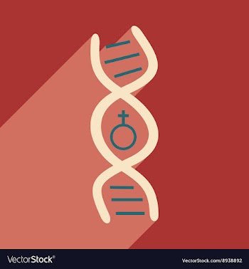 Flat with shadow icon and mobile application genes vector image