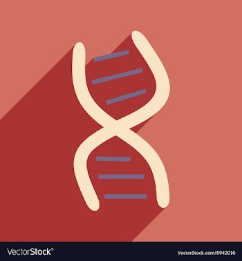 Flat with shadow icon and mobile application genes vector image