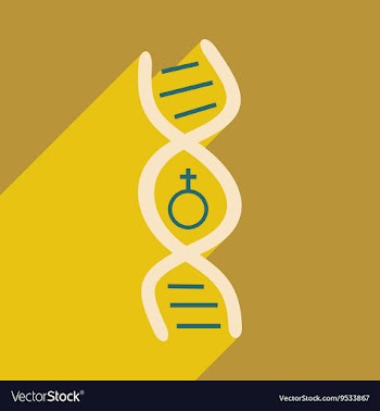 Flat with shadow icon and mobile application genes vector image