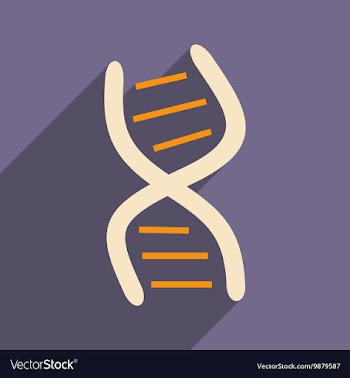 Flat with shadow icon and mobile application genes vector image