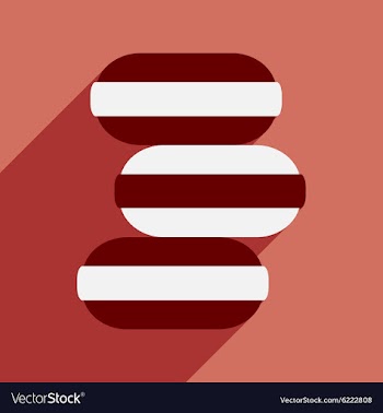 Flat with shadow icon and mobile application ice vector image