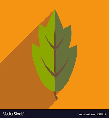 Flat with shadow icon and mobile application leaf vector image