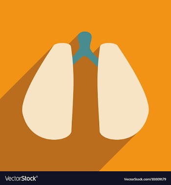 Flat with shadow icon and mobile application lungs vector image