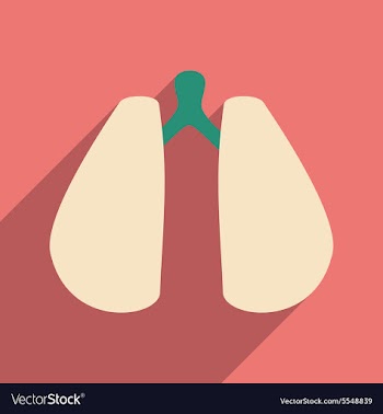 Flat with shadow icon and mobile application lungs vector image