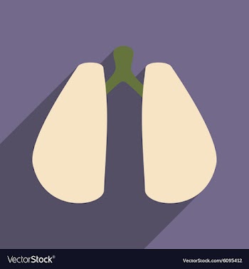 Flat with shadow icon and mobile application lungs vector image