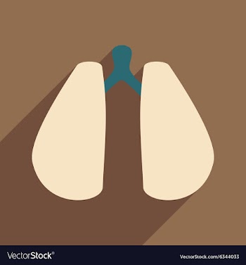 Flat with shadow icon and mobile application lungs vector image
