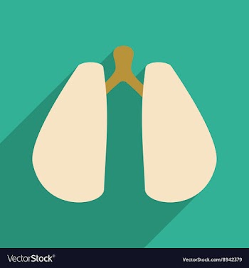 Flat with shadow icon and mobile application lungs vector image