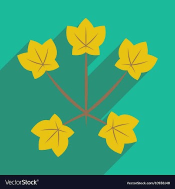 Flat with shadow icon and mobile application maple vector image