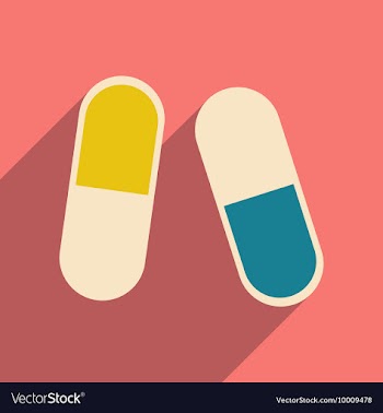 Flat with shadow icon and mobile application pills vector image