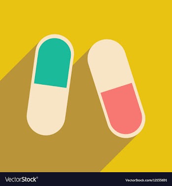 Flat with shadow icon and mobile application pills vector image