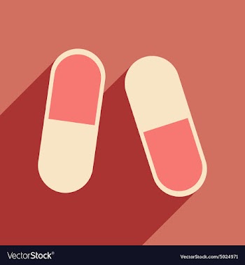 Flat with shadow icon and mobile application pills vector image
