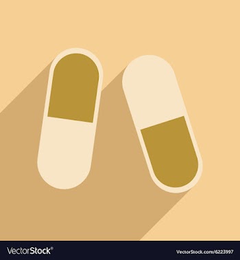 Flat with shadow icon and mobile application pills vector image