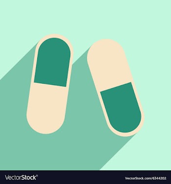Flat with shadow icon and mobile application pills vector image