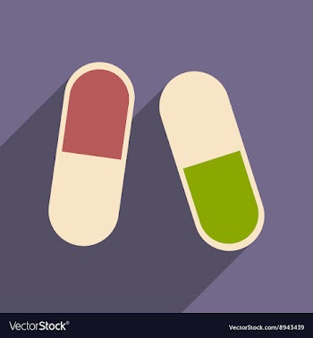 Flat with shadow icon and mobile application pills vector image