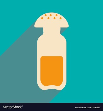 Flat with shadow icon and mobile application salt vector image