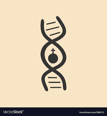 Flat with shadow icon and mobile application sex vector image