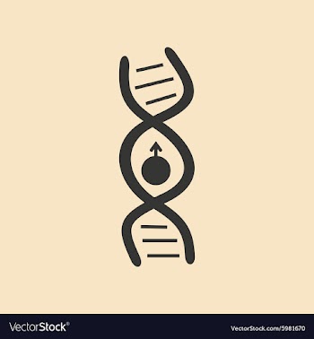 Flat with shadow icon and mobile application signs vector image