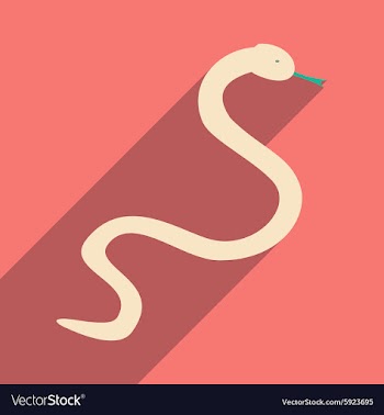 Flat with shadow icon and mobile application snake vector image