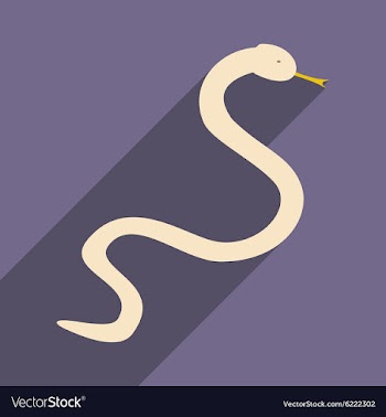 Flat with shadow icon and mobile application snake vector image