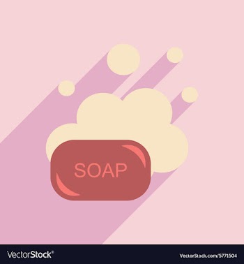 Flat with shadow icon and mobile application soap vector image