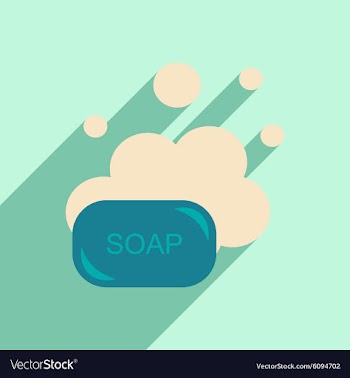 Flat with shadow icon and mobile application soap vector image