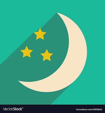 Flat with shadow icon and mobile application stars vector image