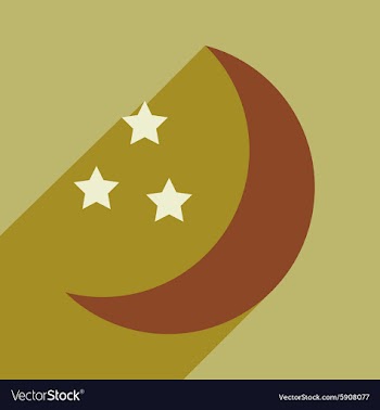 Flat with shadow icon and mobile application stars vector image