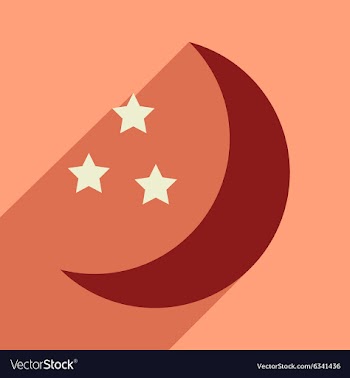 Flat with shadow icon and mobile application stars vector image