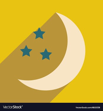 Flat with shadow icon and mobile application stars vector image