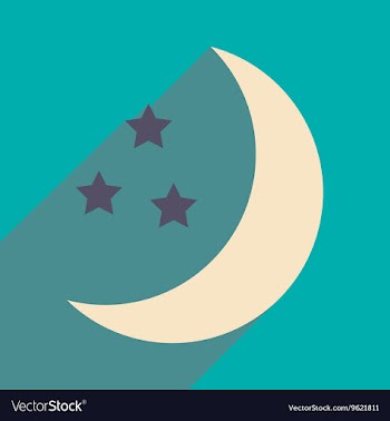 Flat with shadow icon and mobile application stars vector image