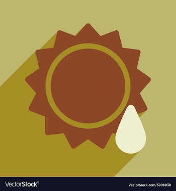 Flat with shadow icon and mobile application sun vector image