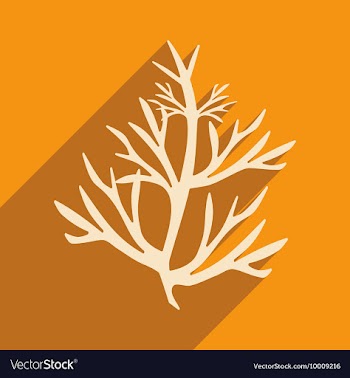 Flat with shadow icon and mobile application vector image