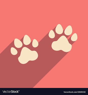 Flat with shadow icon and mobile application vector image