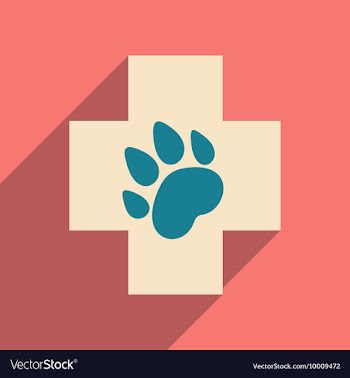 Flat with shadow icon and mobile application vector image