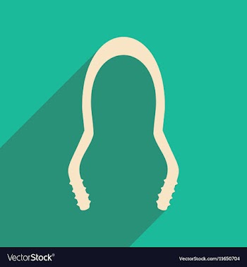 Flat with shadow icon and mobile application vector image