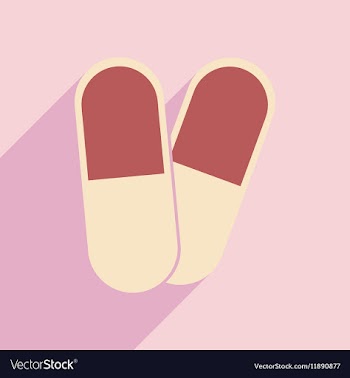 Flat with shadow icon and mobile application vector image