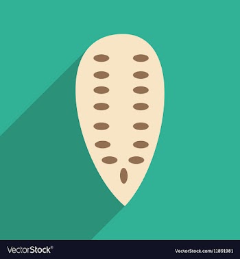 Flat with shadow icon and mobile application vector image
