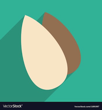Flat with shadow icon and mobile application vector image