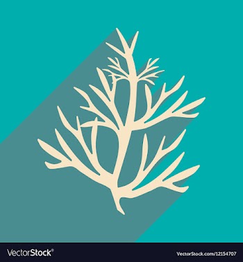 Flat with shadow icon and mobile application vector image