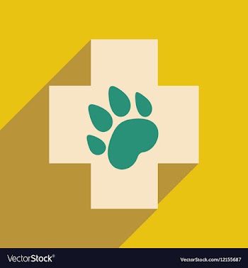 Flat with shadow icon and mobile application vector image