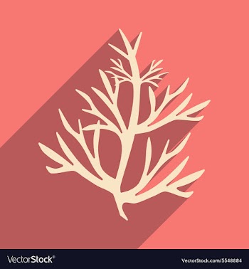 Flat with shadow icon and mobile application vector image